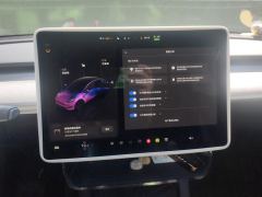 Tesla Model Y 554km Rear-Wheel Drive Edition - photo 20