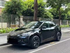 Tesla Model Y 554km Rear-Wheel Drive Edition - ფოტო 1
