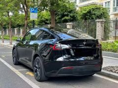 Tesla Model Y 554km Rear-Wheel Drive Edition - ფოტო 10