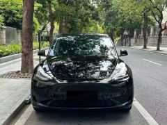 Tesla Model Y 554km Rear-Wheel Drive Edition - ფოტო 2