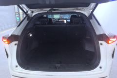 Oshan Z6 1.5T Version - photo 6