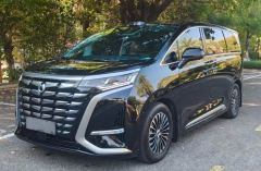 Denza D9 DM-i 1050 Luxury Edition - фото 1