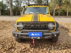 Tank 300 2.0T Frontier Limited Edition - photo 3