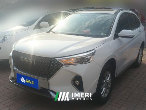 2021 Haval M6 PLUS 1.5T Luxury Version - ავტომობილი ჩინეთიდან