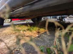Jeep Compass 220T Elite Edition - ფოტო 10