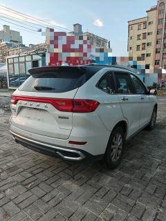 Haval M6 PLUS 1.5T Luxury Version - ფოტო 7