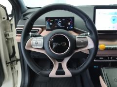 BYD Seagull 305km Free Version - ფოტო 18
