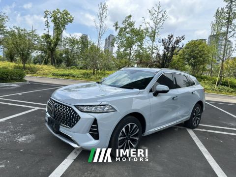 2021 Great Wall Mocha fuel Weipai Mocha Fuel Oil 2.0T Two-Wheel Drive Special Edition
