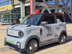 Geely Panda 210km - ფოტო 1