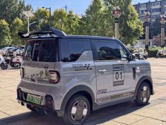 Geely Panda 210km - ფოტო 9