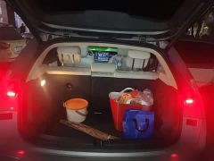 Nio Firefly Luminous Edition - ფოტო 15