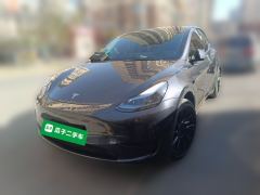 Tesla Model Y 554km Rear-Wheel Drive Edition - ფოტო 1