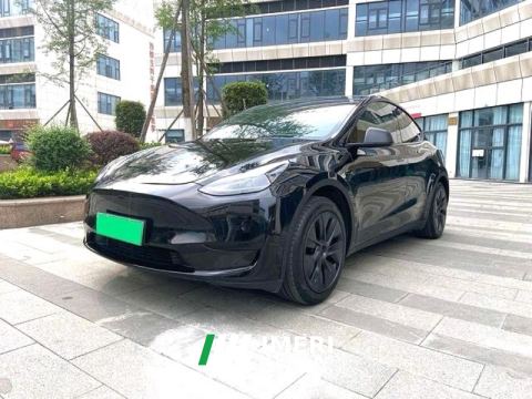 2024 Tesla Model Y 554km Rear-Wheel Drive Edition - car from China