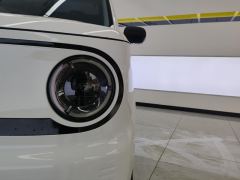 Geely Galaxy Panda mini 200km Animated Bear - ფოტო 4