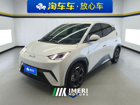 2025 BYD Seagull 305km Free Version - car from China