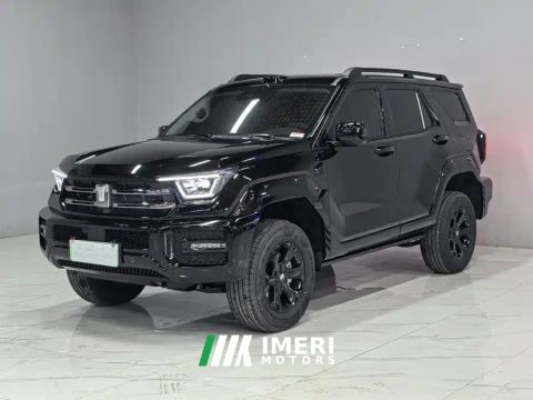 2024 Tank 400 New Energy 2.0T 105km Off-road version 37.1kWh - car from China