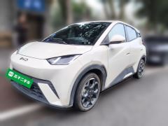 BYD Seagull 305km Free Version - ფოტო 1