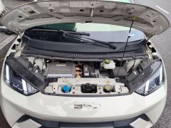 BYD Seagull 305km Free Version - ფოტო 16