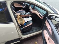 BYD Seagull 305km Free Version - ფოტო 19