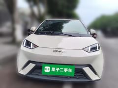 BYD Seagull 305km Free Version - ფოტო 2