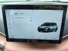 BYD Seagull 305km Free Version - ფოტო 20