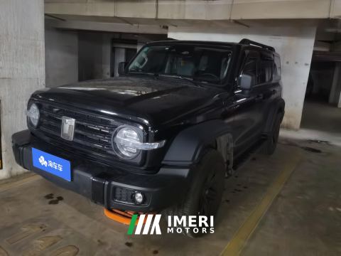 2021 Tank 300 Off-Road Edition 2.0T Conqueror - car from China