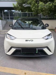 BYD Seagull Honor Edition 305km Vitality Edition - photo 1