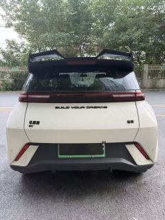 BYD Seagull Honor Edition 305km Vitality Edition - photo 8