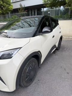 BYD Seagull Honor Edition 305km Vitality Edition - photo 9