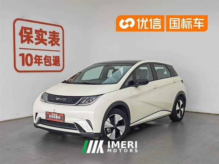 BYD Dolphin 420km Fashion Edition