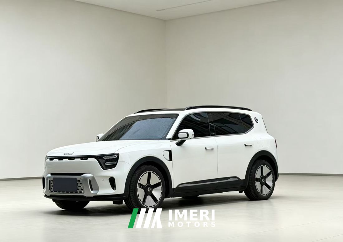 smart Companion # 5#5 570km Long RangeLuxury Edition - car from China