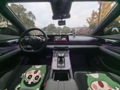 GAC Chuanqi Shadow Leopard 270T DCT R-Style Version - photo 12