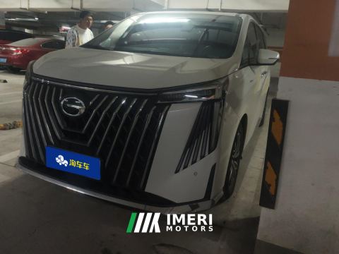 2024 GAC Trumpchi M8 Master Series 2.0T Supreme Edition 7-seater - car from China