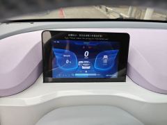 Fengon MINI EV MINIEV 220km Edition - photo 12