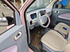 Fengon MINI EV MINIEV 220km Edition - photo 17