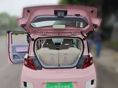 Fengon MINI EV MINIEV 220km Edition - photo 20