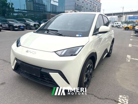 2025 BYD Seagull 405km Flying Edition - ავტომობილი ჩინეთიდან