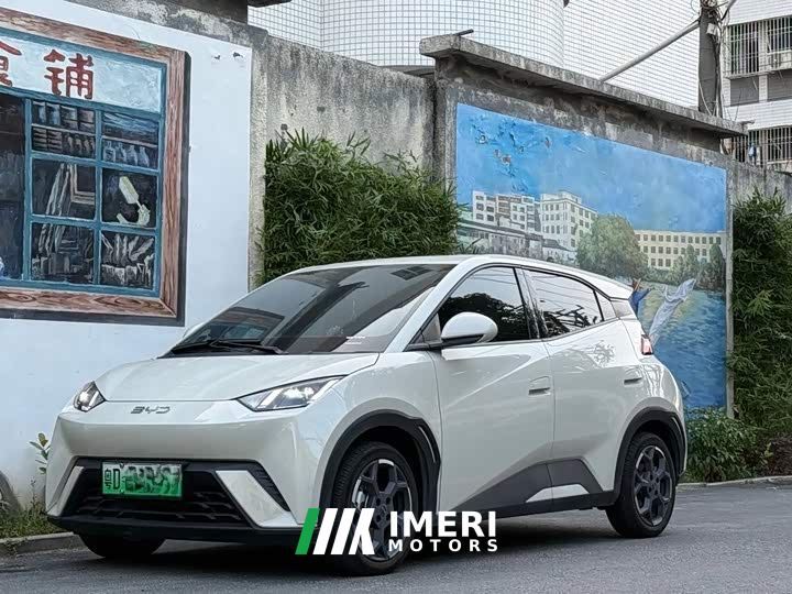 BYD Seagull 305km Freedom Edition - автомобиль из Китая