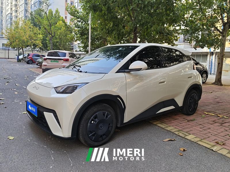 BYD Seagull 305km Vitality Edition - ავტომობილი ჩინეთიდან