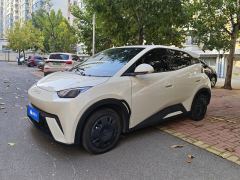 BYD Seagull 305km Vitality Edition - ფოტო 1