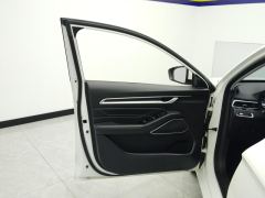 Geely Emgrand Champion 1.5L CVT Prestige - ფოტო 12