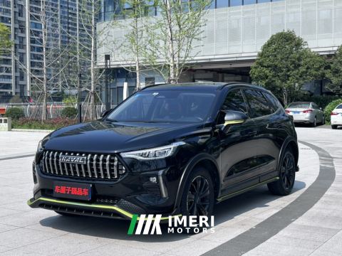 2021 Haval Chitu Jiqing Edition 1.5T Golden Rabbit - автомобиль из Китая