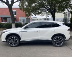 Roewe RX5 PLUS 330TGI Edition - ფოტო 3