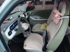 Geely Galaxy Panda mini 210km Yuanqi Bear - photo 14