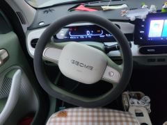 Geely Galaxy Panda mini 210km Yuanqi Bear - photo 18