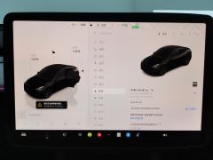 Tesla Model Y 688km Long Range AWD - ფოტო 20