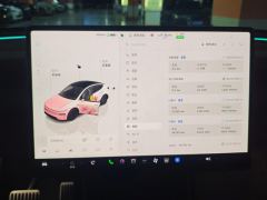Tesla Model Y 719km Long Range Edition - ფოტო 20
