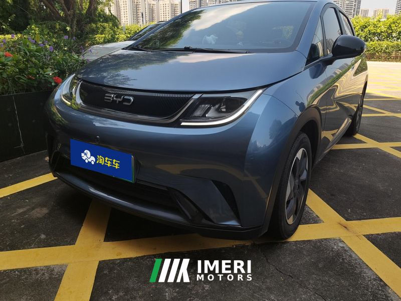 BYD Dolphin 420km Free Version - car from China