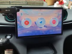 BYD Dolphin 420km Free Version - photo 17