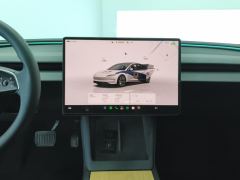 Tesla Model 3 634km Rear-Wheel Drive Edition - фото 17